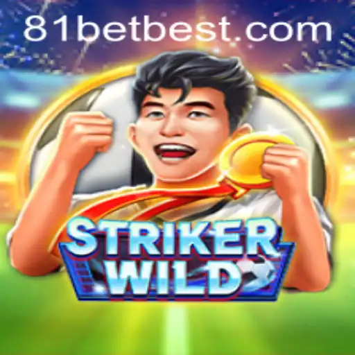 81 bet Casino App